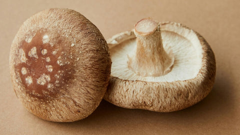 Shiitake Mushroom Allergy: What to Know